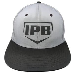 IPB Fitted Hat Gray Medium Colorblock Laser Cut Flat Brim The Game